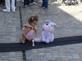 20240915-Mechelen-DSC02678-Onthulling-beeld-Louis-Neefs-Spelende-onschuld